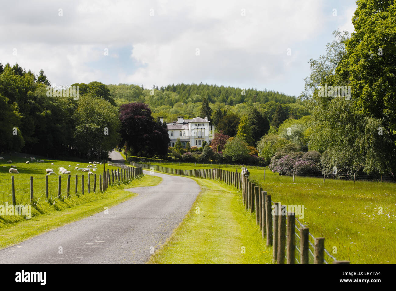 Falcondale hotel hires stock photography and images Alamy