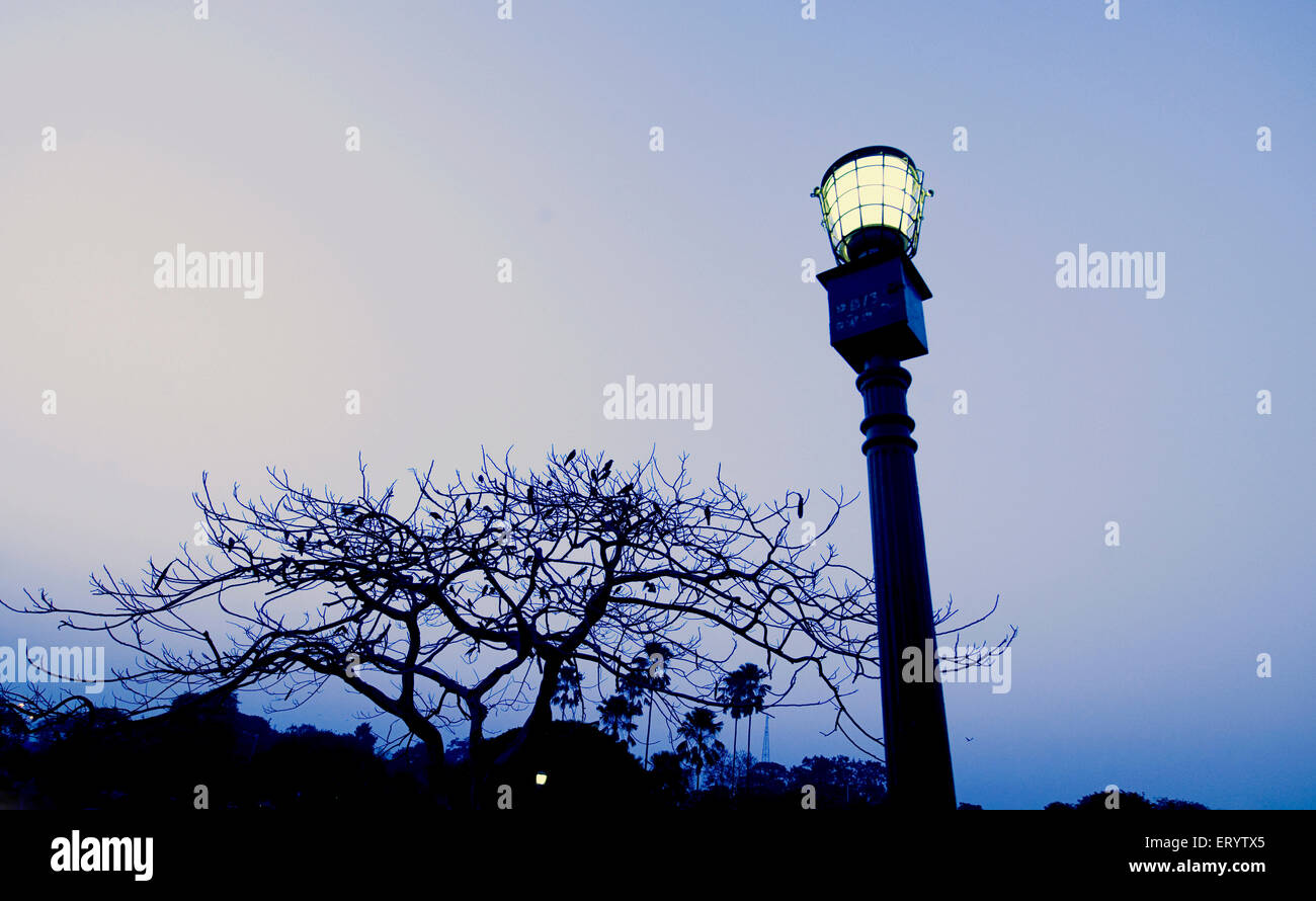 Old lamp post, street light, light pole, lamppost, street lamp, Calcutta, Kolkata, West Bengal, India, Asia Stock Photo
