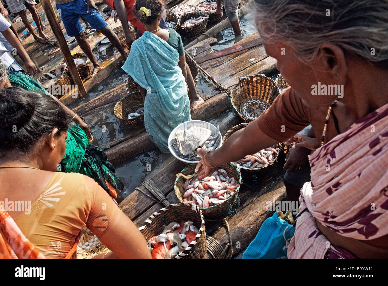 Woman buying fish , Kasimedu fish market , Royapuram fishing harbour , Madras , Chennai , Tamil Nadu , India , Asia Stock Photo