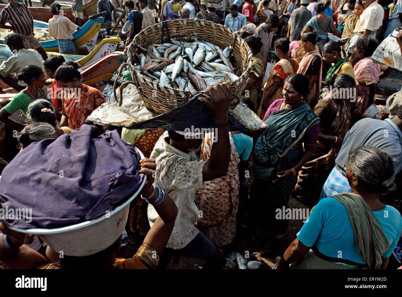Chennai fish market hires stock photography and images Alamy