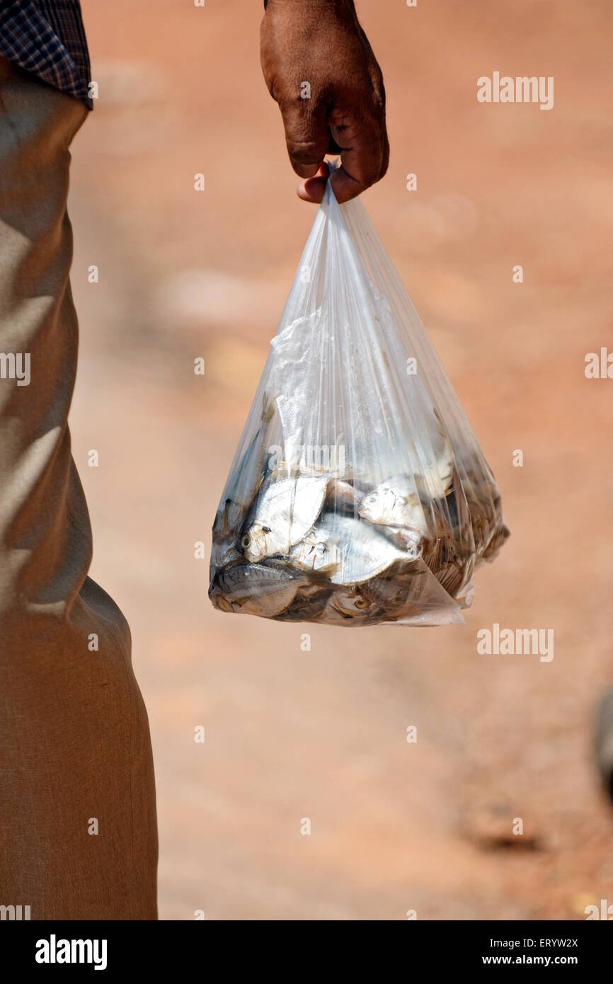 Man carrying fish in plastic , Panji , Panjim , Goa , India , Asia
