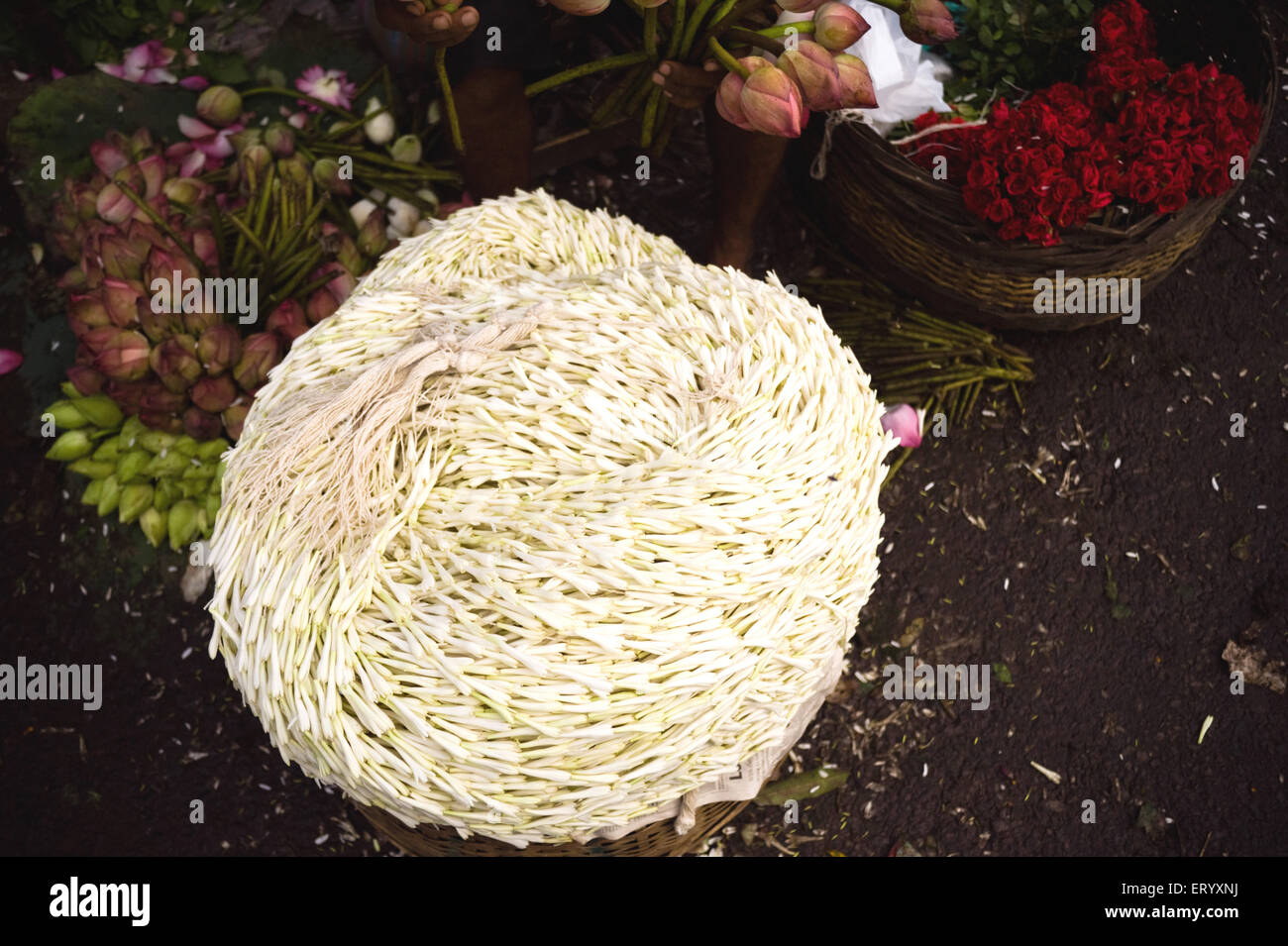 Tuberose flower garland shop, Rajanigandha, Nishigandha, Mullick Ghat Flower Market, Calcutta, Kolkata, West Bengal, India, Asia Stock Photo