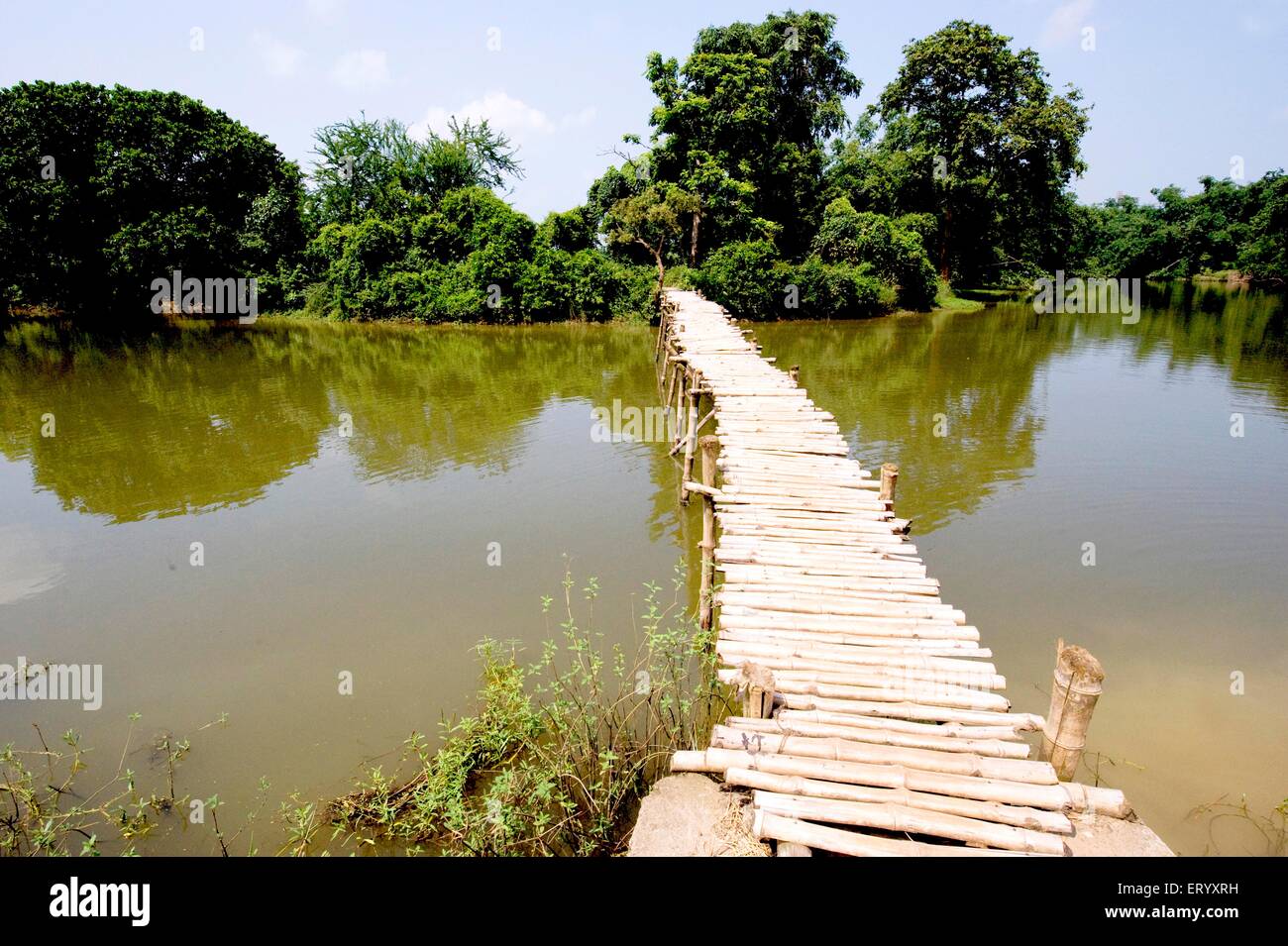 Village bamboo wood bridge, Ghatal ; Paschim Medinipur district, West Bengal ; India, asia Stock Photo