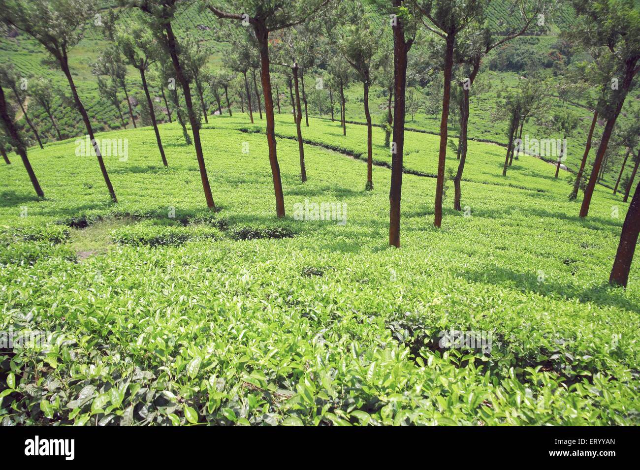 162567 hires stock photography and images Alamy