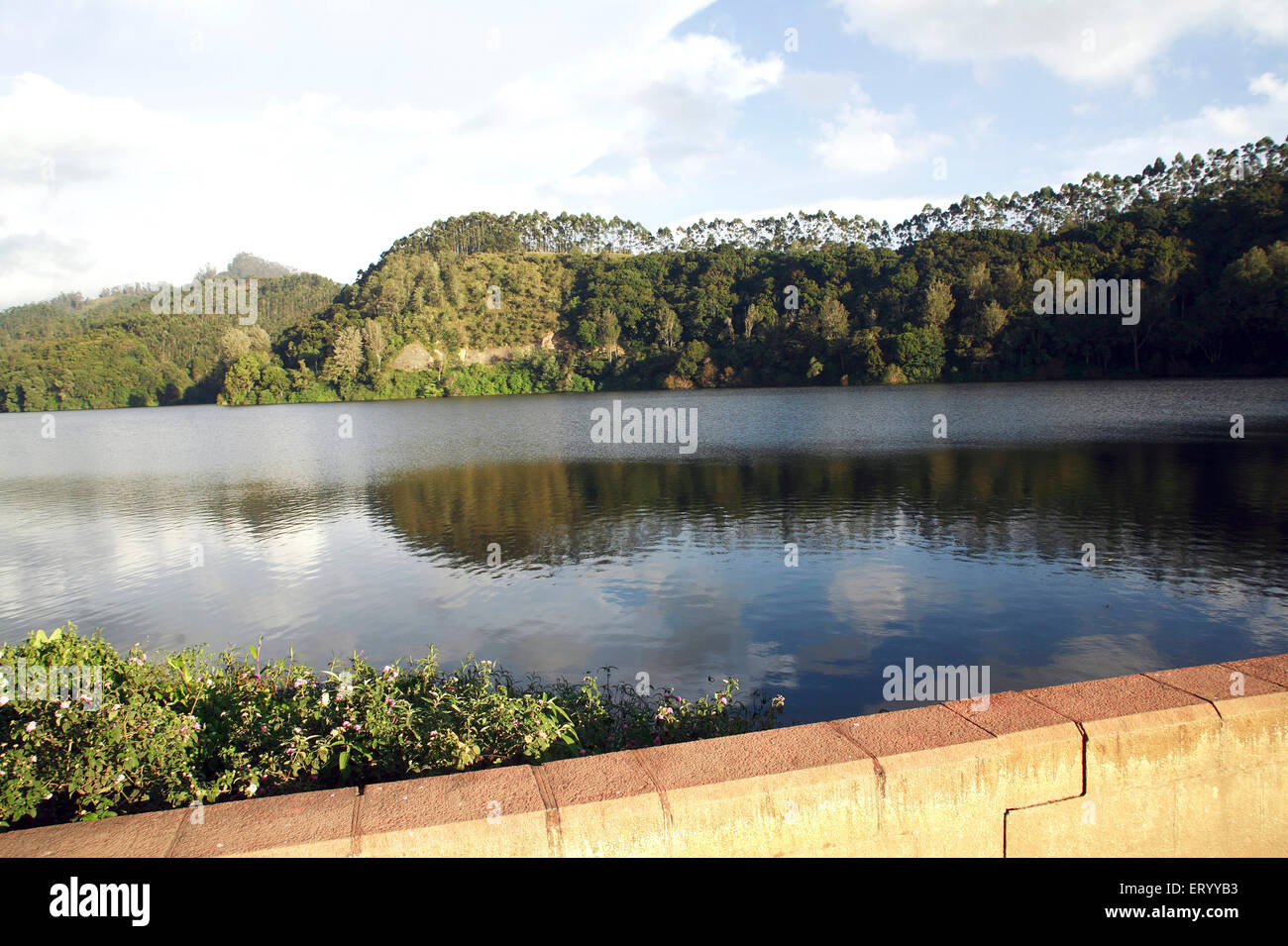 Kundala Dam Lake , Munnar , hill station , Idukki district , Western Ghats mountain , Kerala , India , Asia Stock Photo