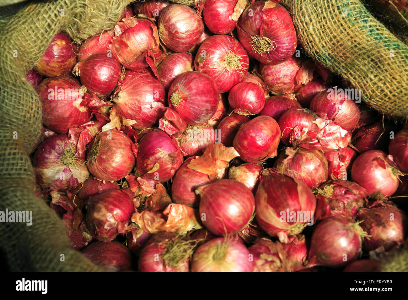 onions in jute sack , Munnar Vegetable Market , Munnar , Idukki , Kerala , India , Asia Stock Photo