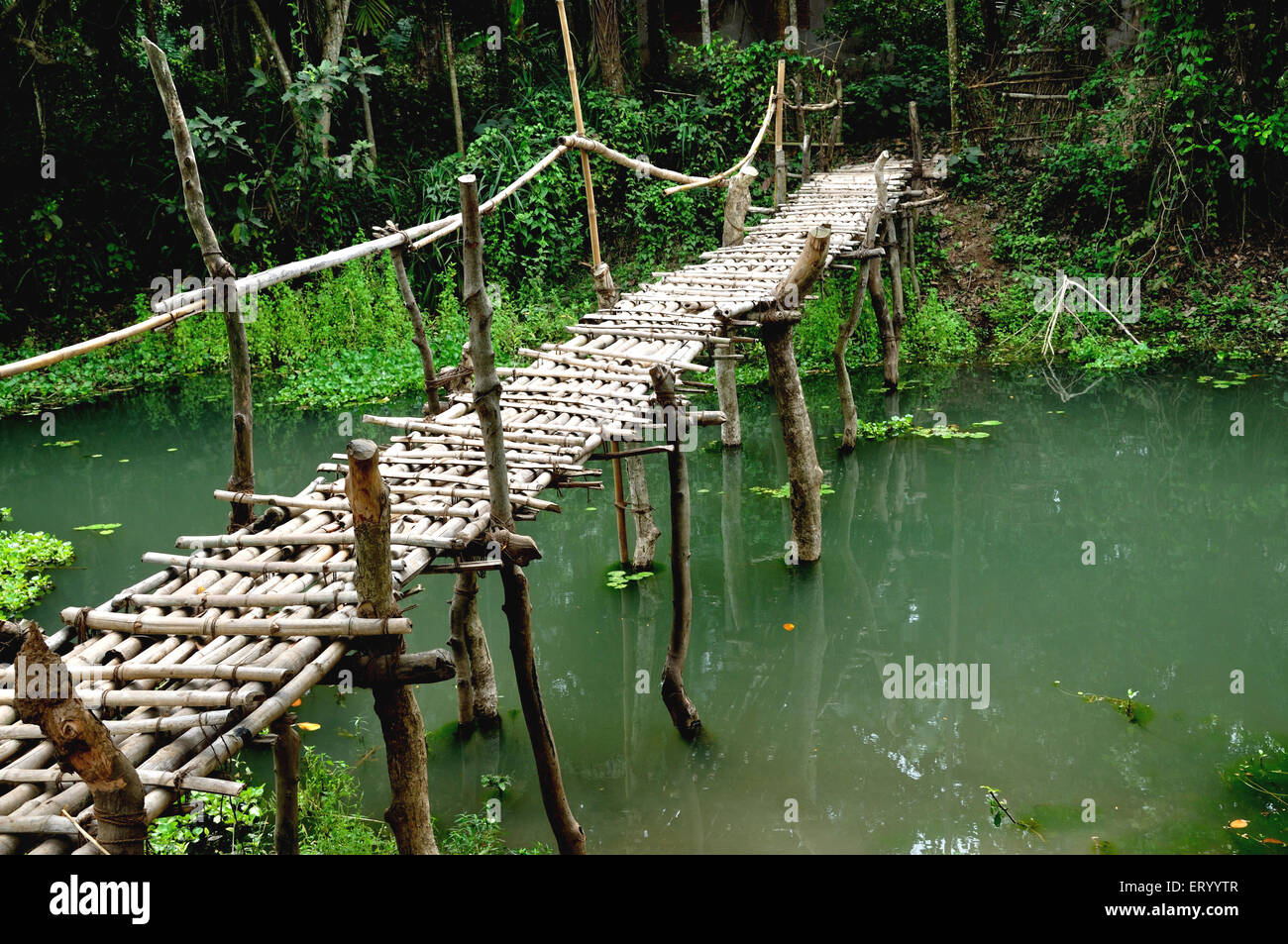 Bamboo bridge , Raghurajpur village , Puri , Orissa , Odisha , India , asia Stock Photo