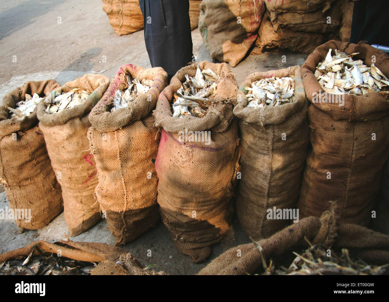 Indian dried fish market hires stock photography and images Alamy