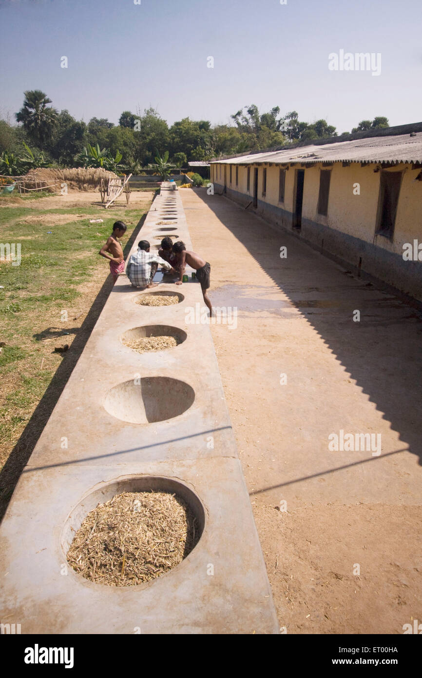 Cattle feed in bowls hires stock photography and images Alamy