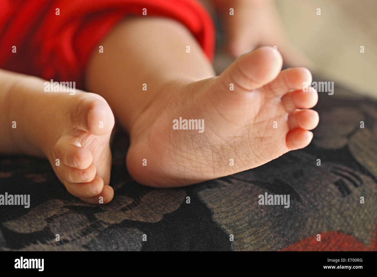 Tender feet of baby boy - Model Release # 732 Stock Photo