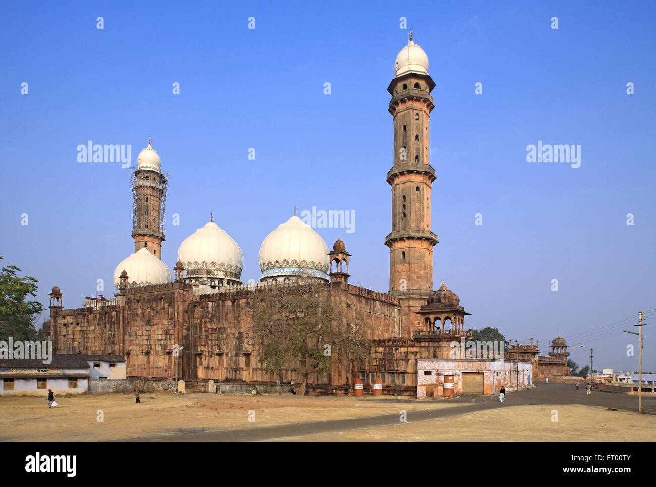 Taj ul Masjid built in 1868 by Shah jahan begum ; Bhopal ; Madhya Pradesh ; India Stock Photo