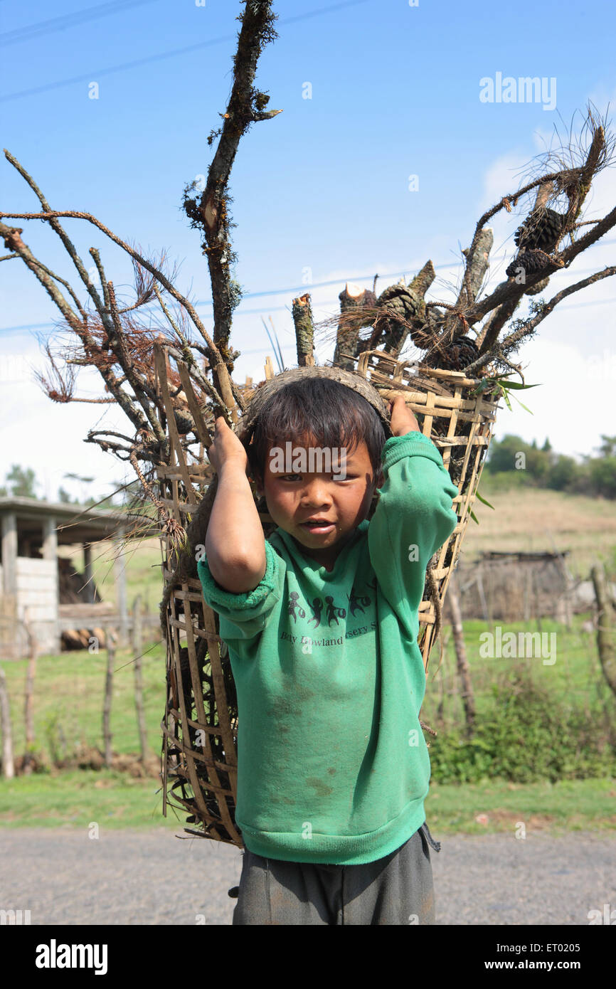 Khasi tribal child carrying wood on his back ; Cherrapunjee ; Sohra
