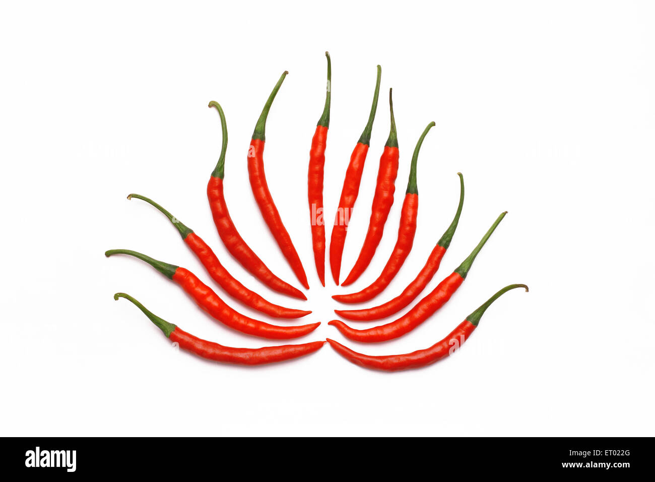 Chilli flower hires stock photography and images Alamy