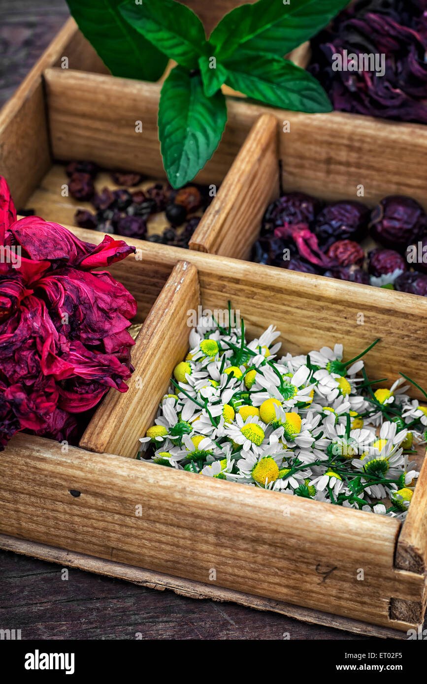 box collected in the fall of medicinal herbs for teas and medicinal ...