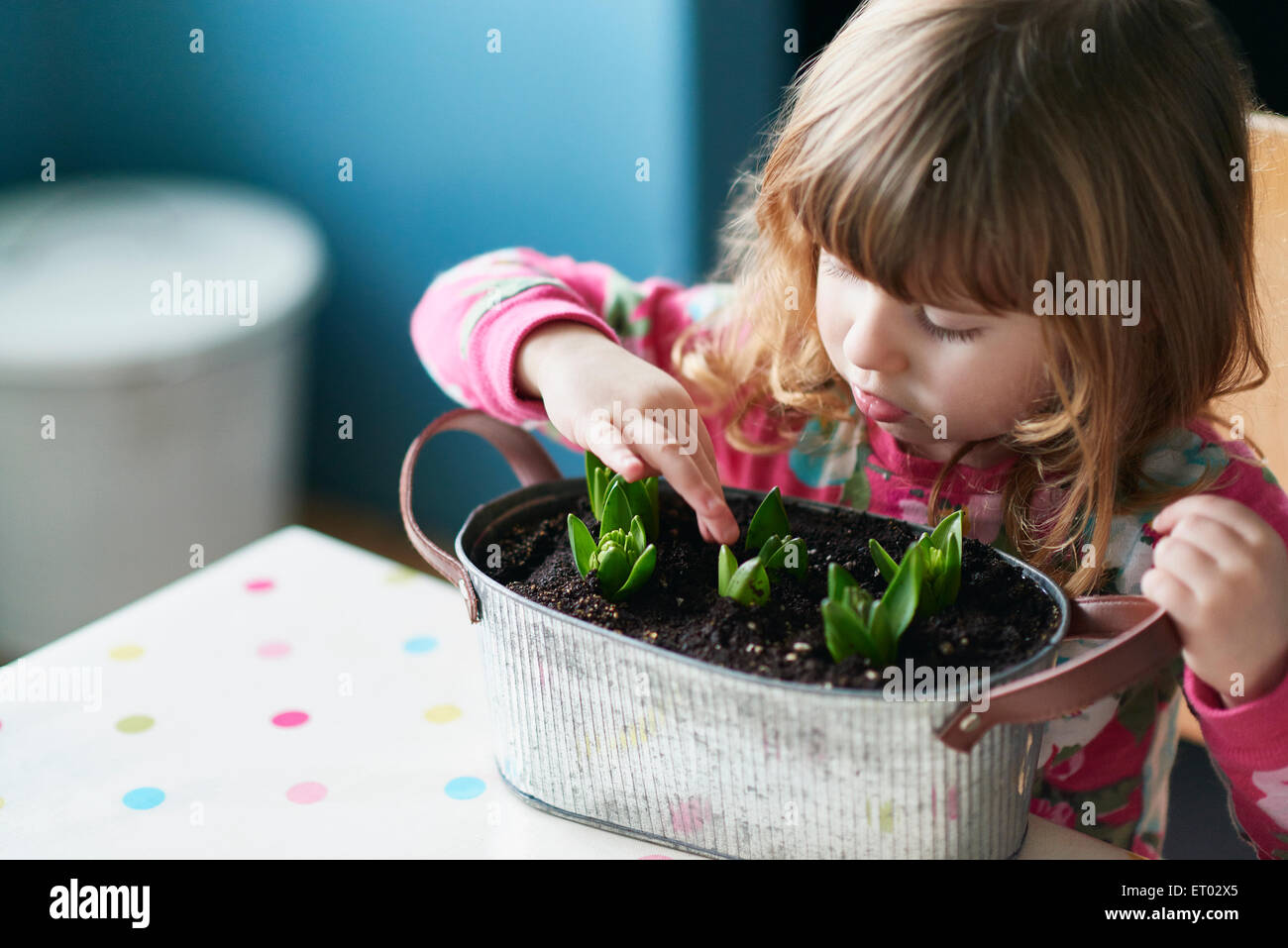 Curious girl touching sprouting flowers in flowerpot Stock Photo