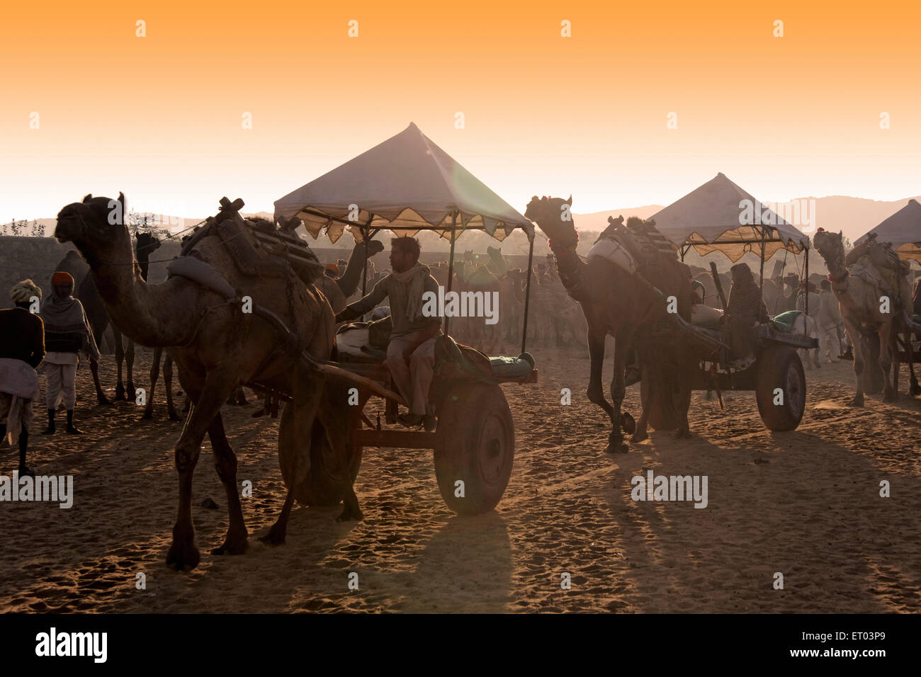 Pushkar Mela ; Rajasthan ; India Stock Photo