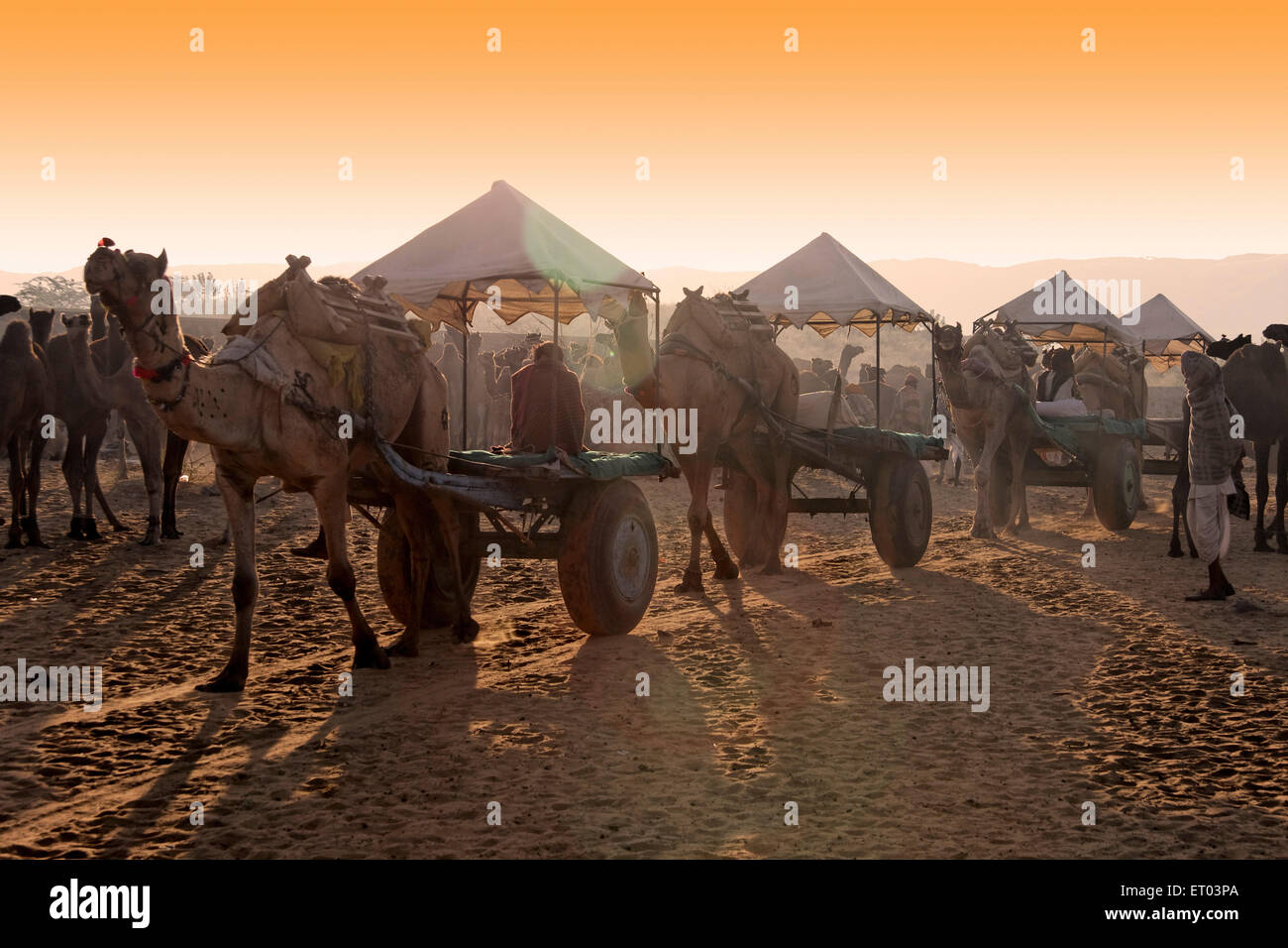 Pushkar Mela ; Rajasthan ; India Stock Photo
