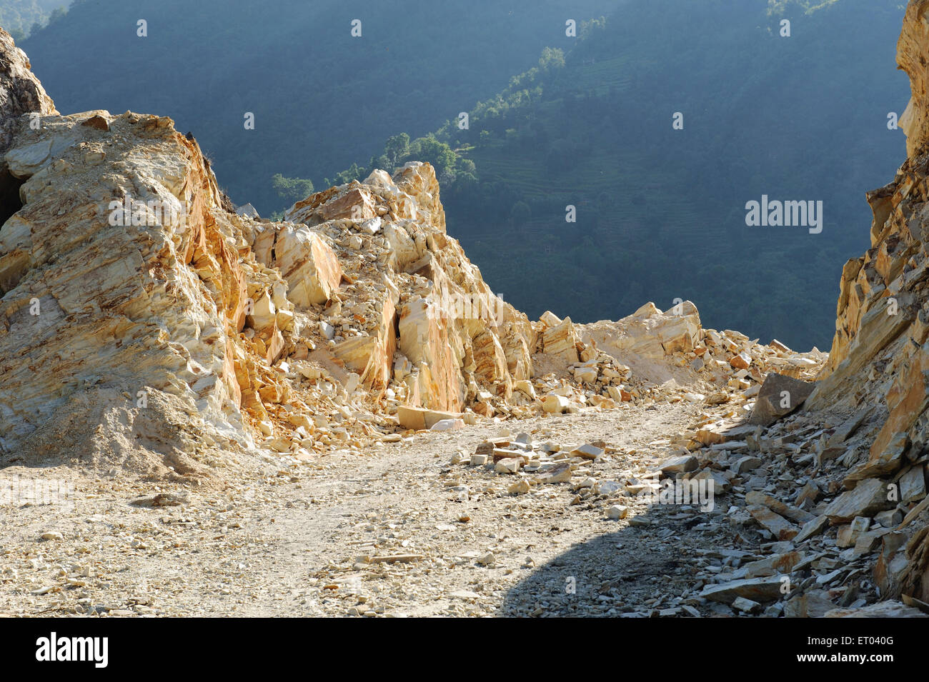 Mountain path , Ghode Pani , Ghorapani , Ghorepani , Ghoripani , Shikha , Ulleri , Nepal , Federal Democratic Republic of Nepal , South Asia , Asia Stock Photo