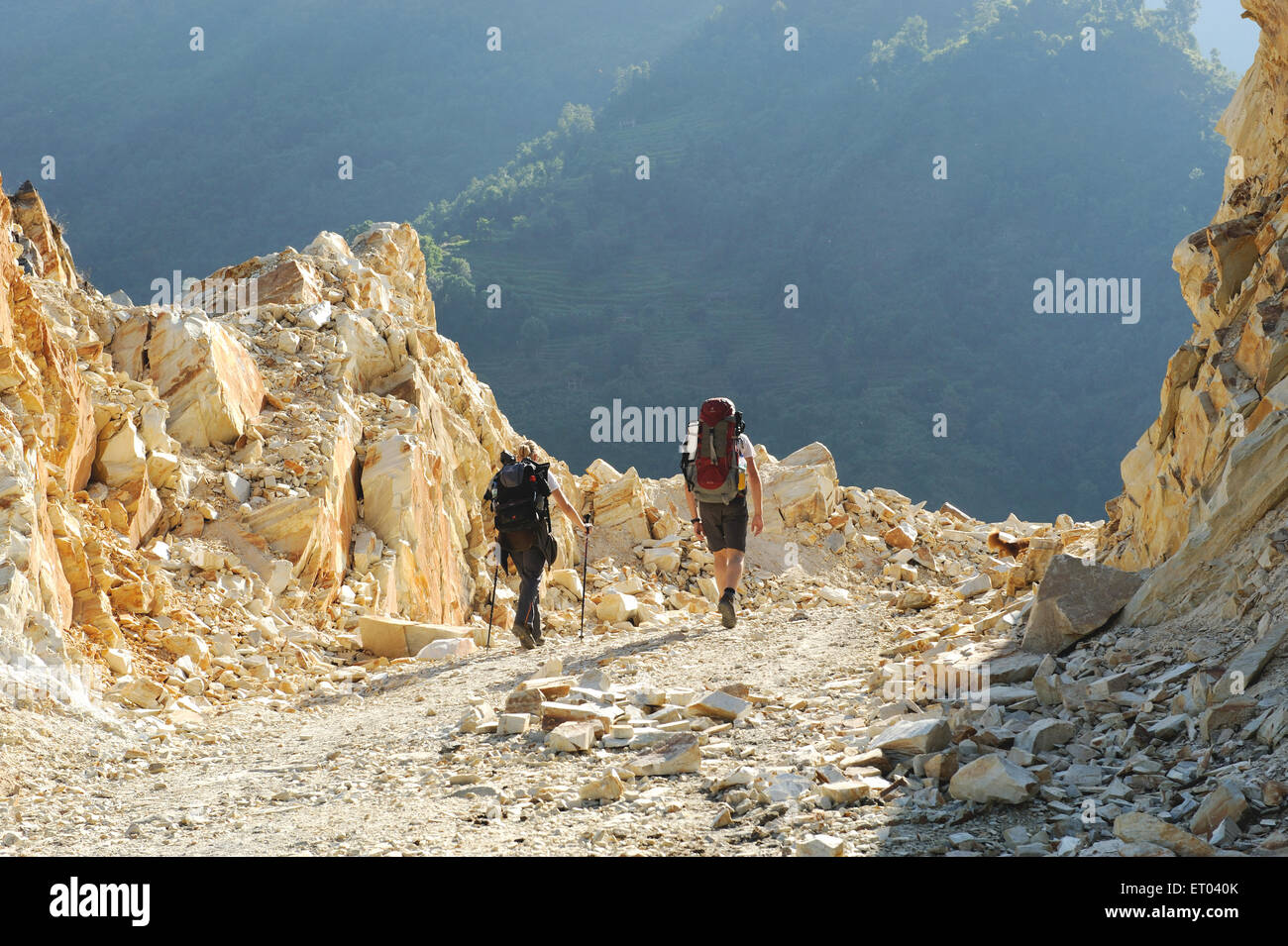 Mountain path , Ghode Pani , Ghorapani , Ghorepani , Ghoripani , Shikha , Ulleri , Nepal , Federal Democratic Republic of Nepal , South Asia , Asia Stock Photo
