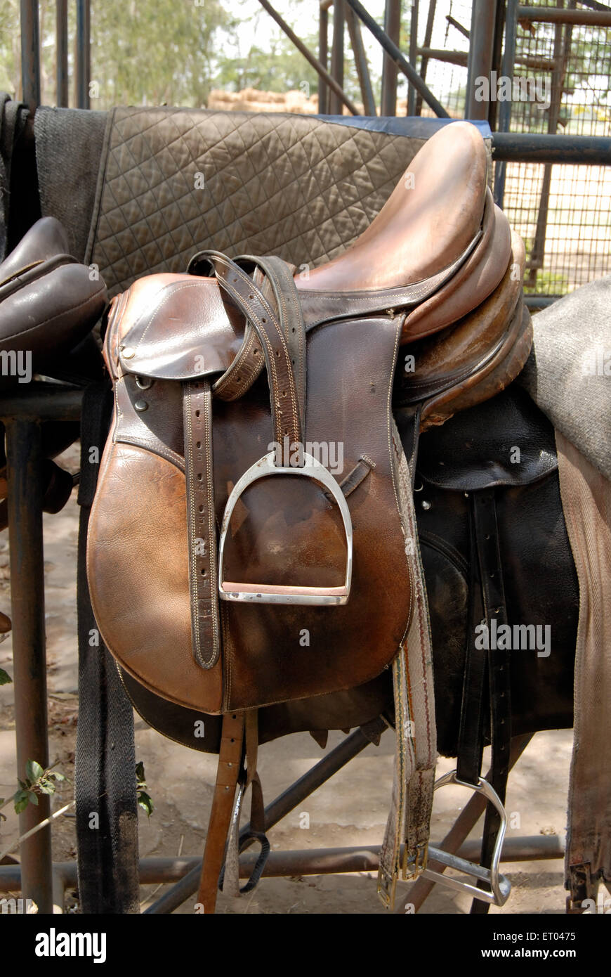 Saddle, Stirrup, stirrup leather, horse riding gear, Stock Photo