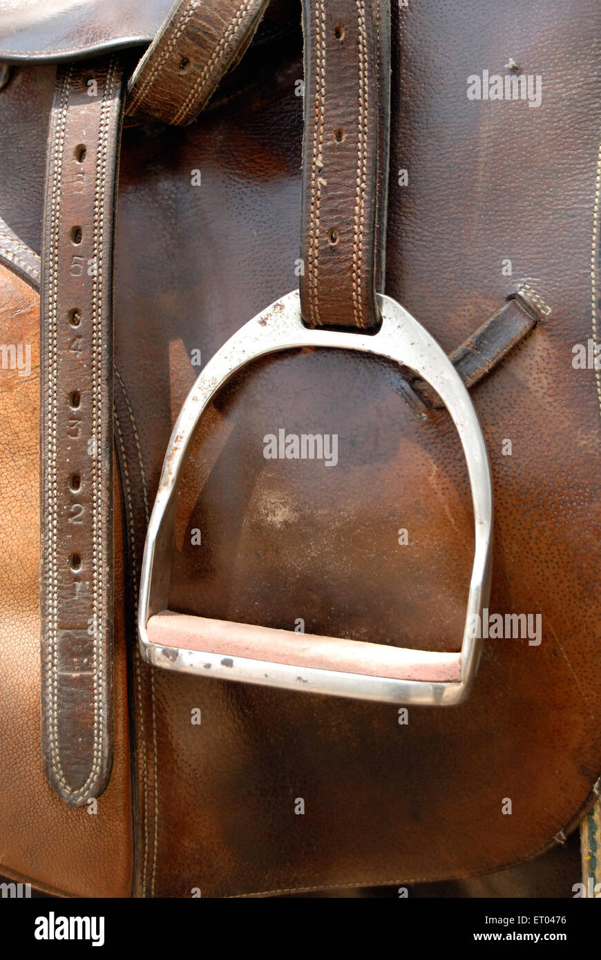 Stirrup, stirrup leather, horse riding gear, Stock Photo