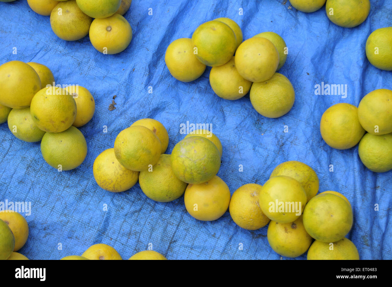 Sweet Limes fruit on stall in Panjim market at Goa India Stock Photo