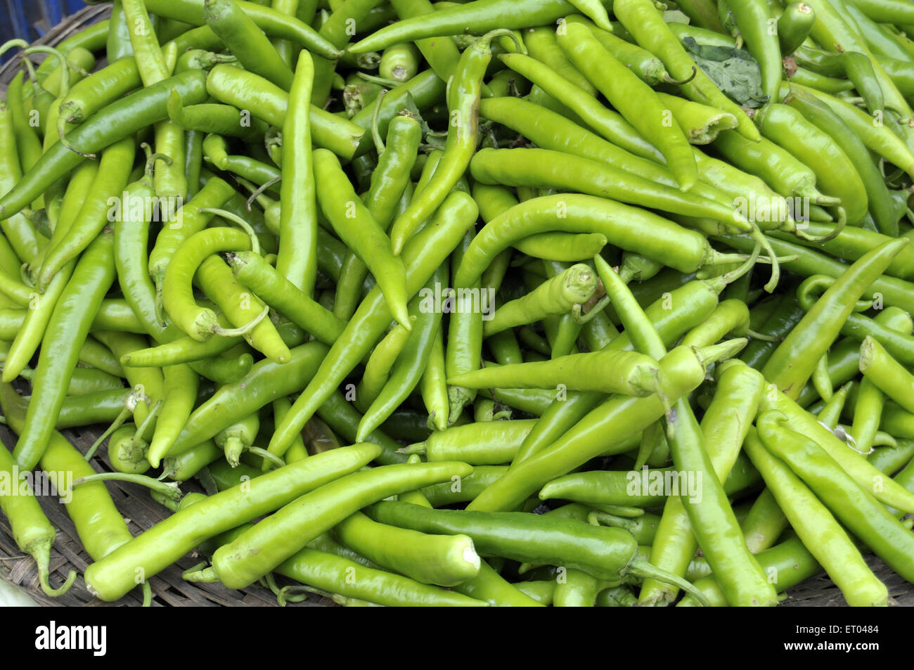 green chilli in panjim market at India Stock Photo Alamy