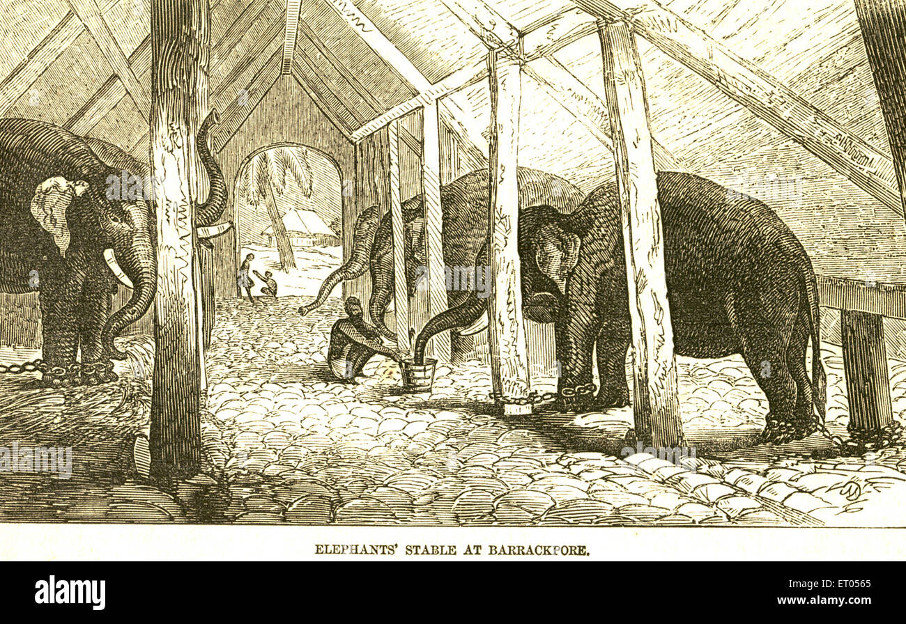 Elephant's stable at Barrackpore ; Calcutta Kolkata ; West Bengal ; India Stock Photo
