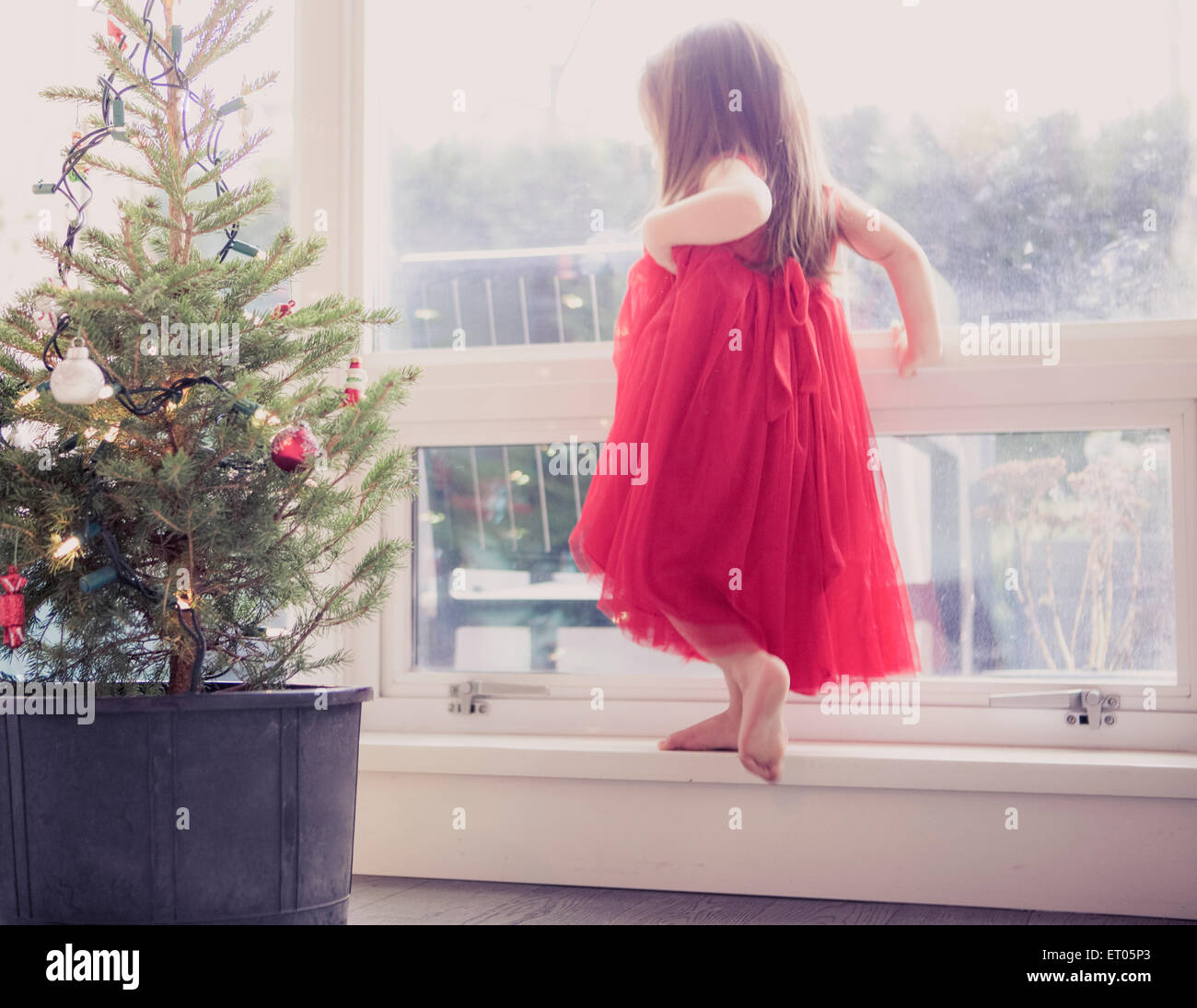 Girl in red dress on ledge next to potted Christmas tree Stock Photo