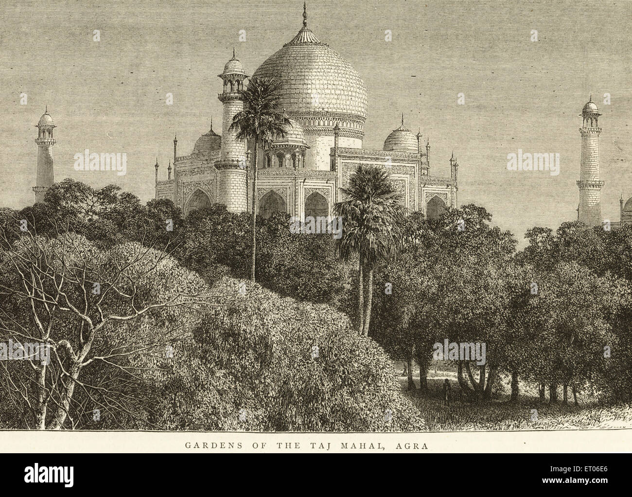 Taj Mahal garden ; Agra ; Uttar Pradesh ; India , old vintage 1800s Stock Photo