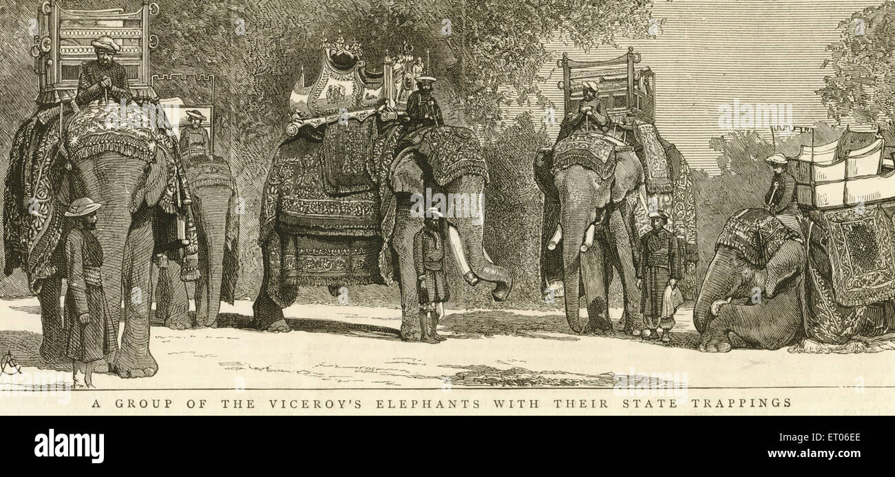 Viceroy elephants , India , British India , old vintage 1800s engraving Stock Photo