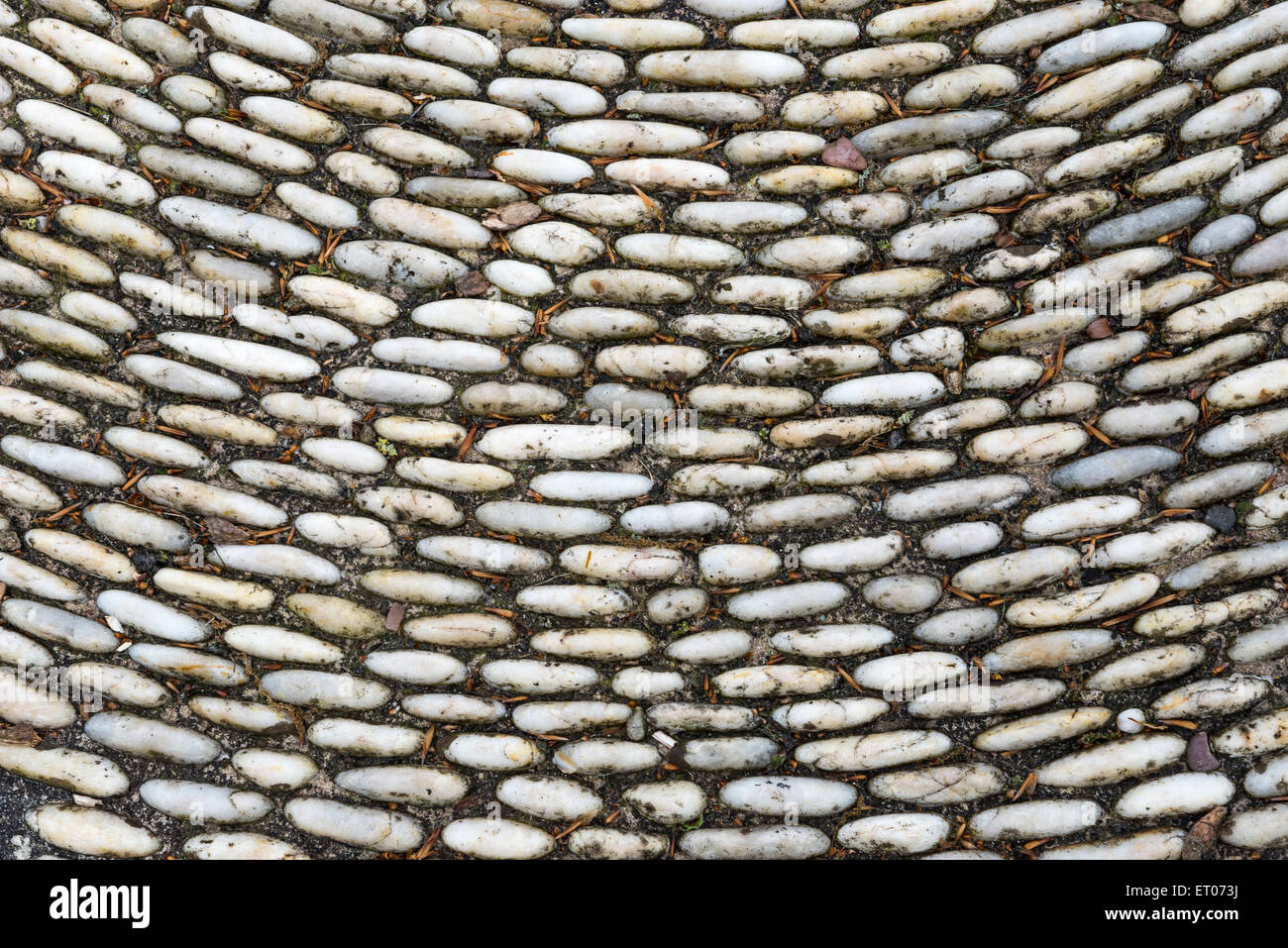 Pattern of white pebbles laid out as a garden surface. Stock Photo