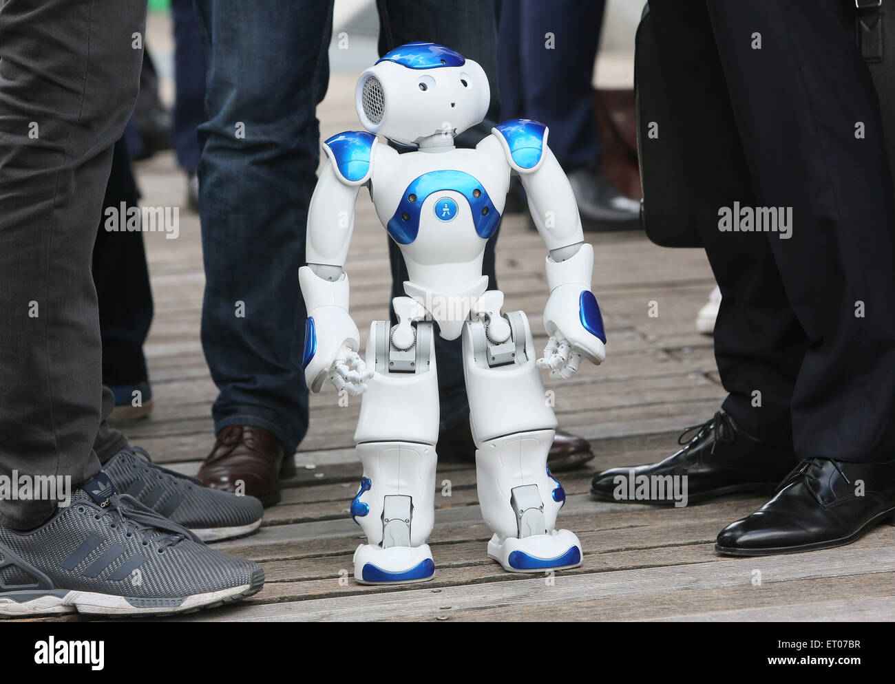 Berlin, Germany. 10th June, 2015. The french robot Henry (product name Nao)  welcomes candidates searching for leadership positions in the digital world  at the office of the job agency CareerTeam at the