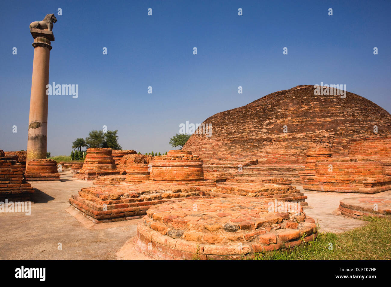 Brick stupa and lion pillar Kolhua Vaishali Bihar India Stock Photo