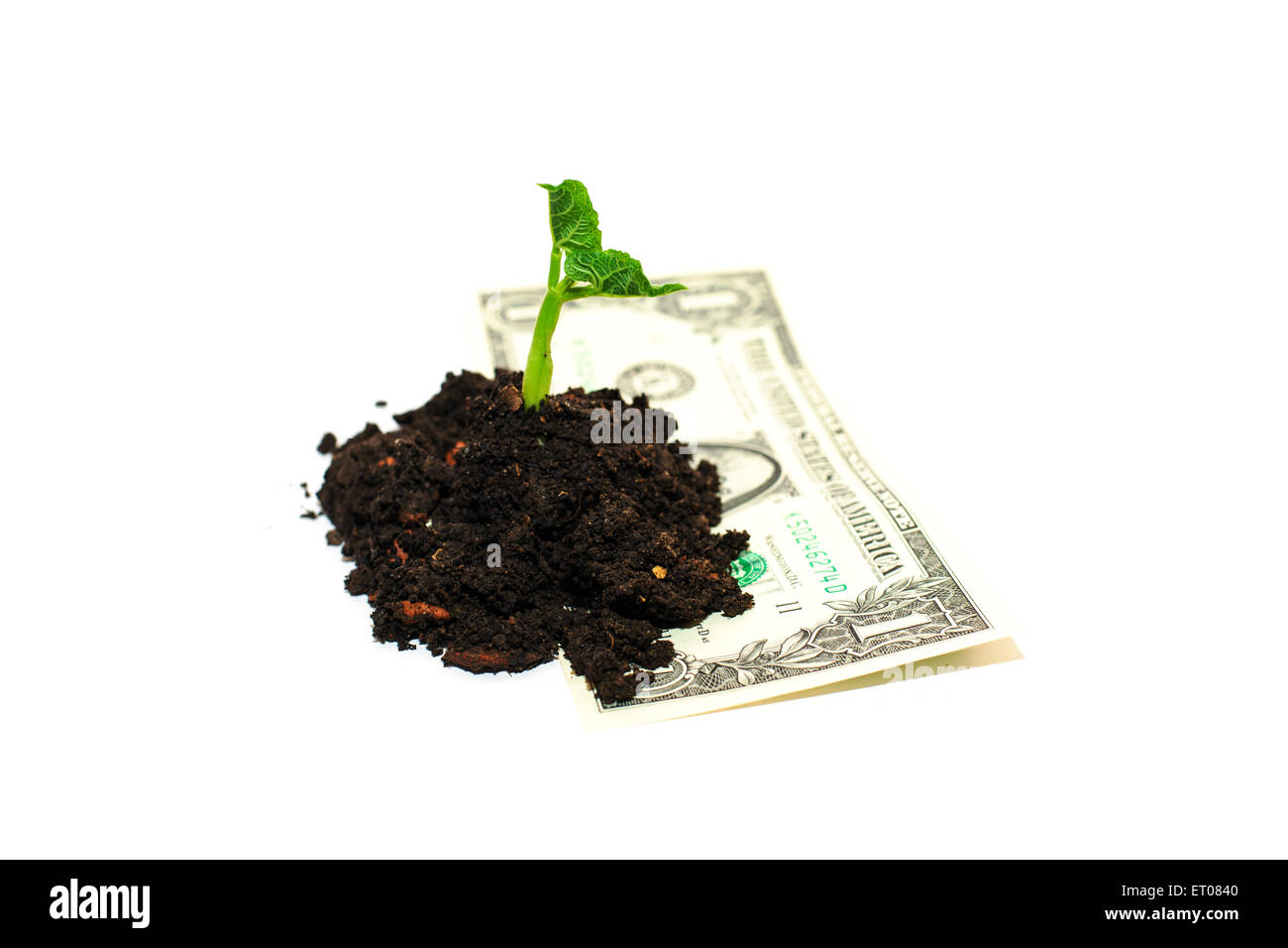 Green plant growing from a pile of soil and banknote on a white background Stock Photo