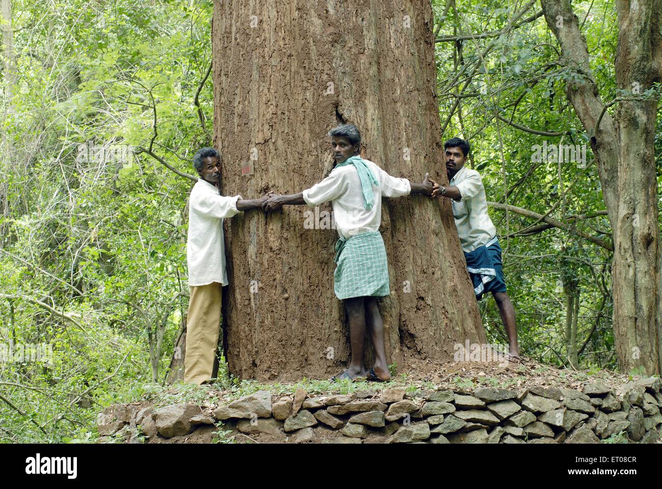Chipko hi-res stock photography and images - Alamy