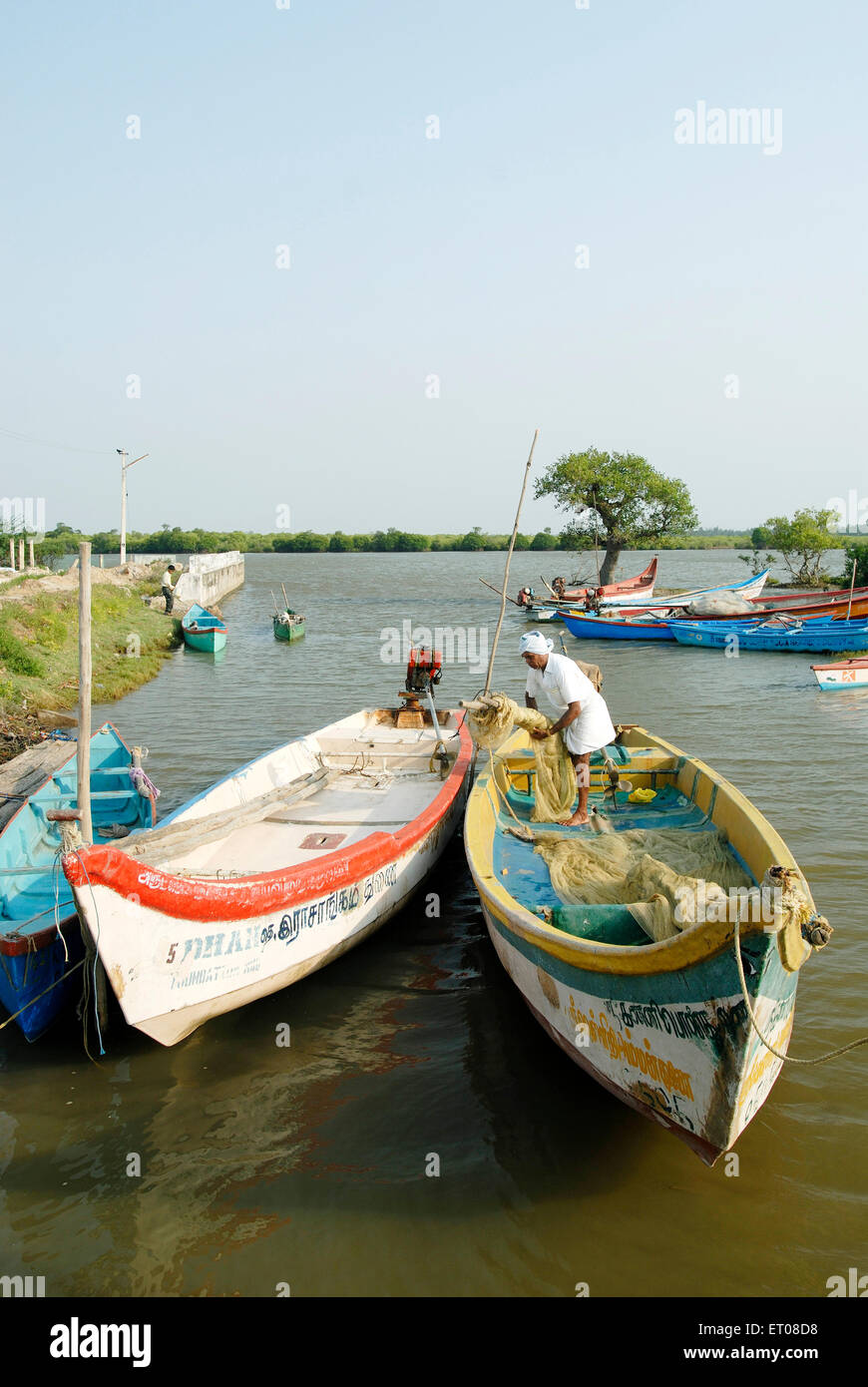 Pichavaram mangrove forest hi-res stock photography and images - Alamy