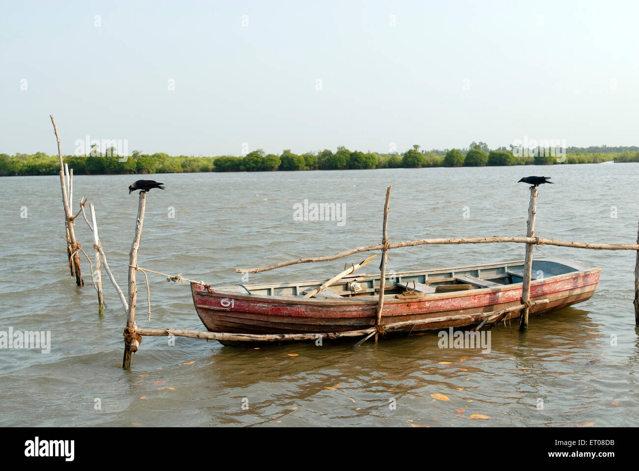 Fishing boats in sea near Pichavaram mangrove forest ; near Chidambaram ; Tamil Nadu ; India Stock Photo