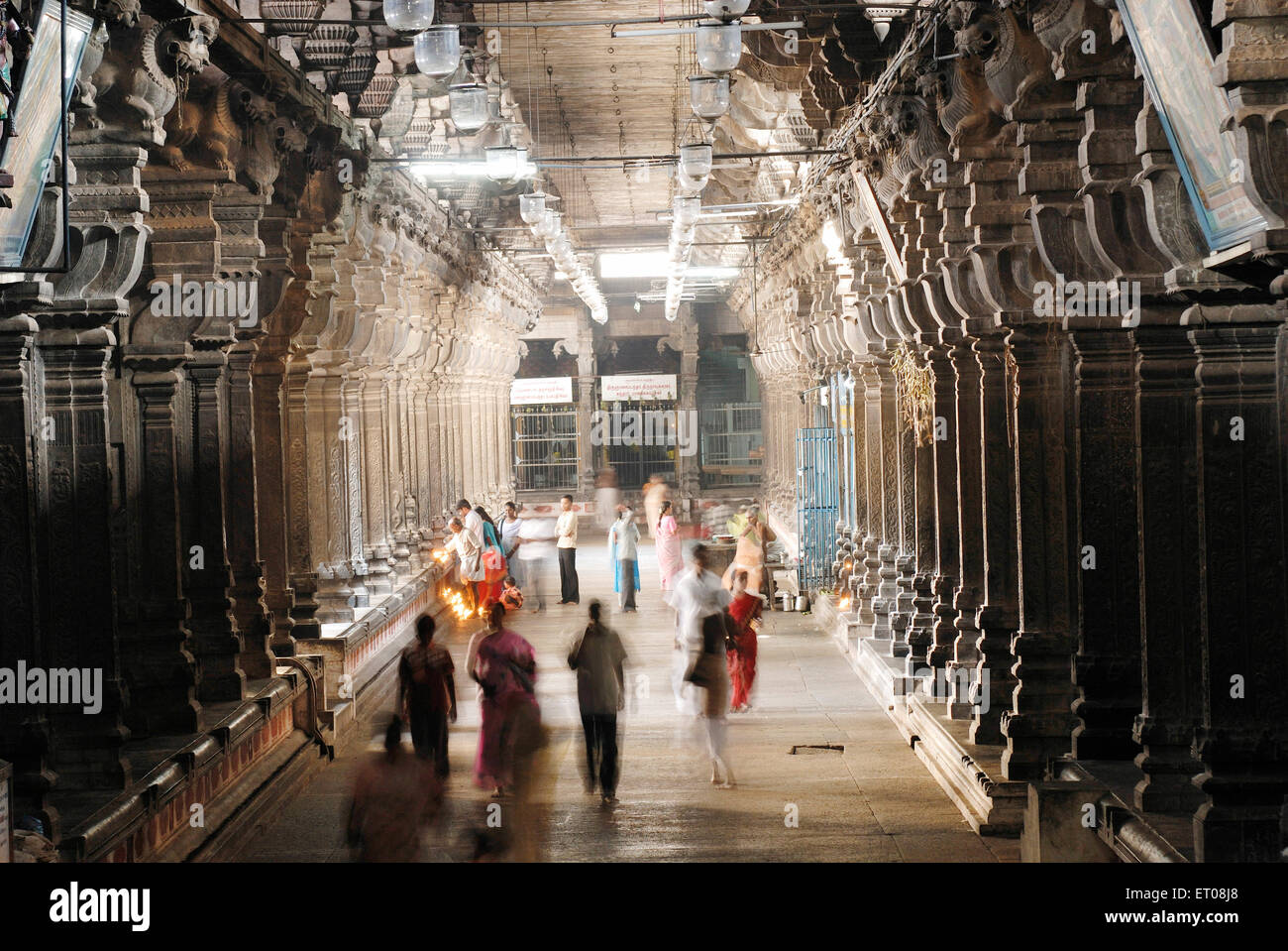 Colonnade in the second Prakara ; Chidambaram Nataraja temple ; Chidambaram ; Tamil Nadu ; India Stock Photo