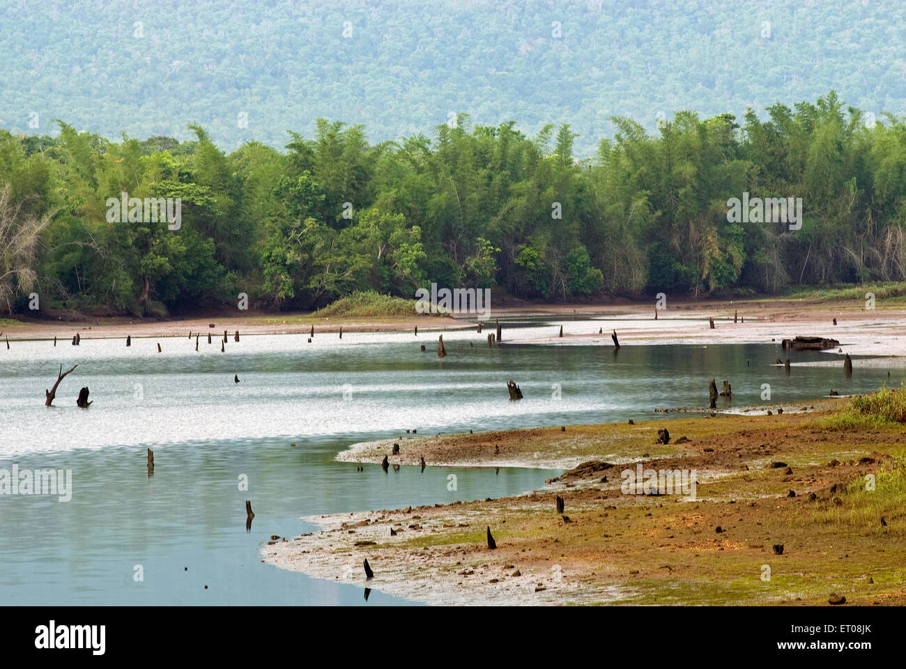 Pykara lake , Pykara , Ooty , Udhagamandalam , Hill Station , Nilgiris , Western Ghats , Tamil Nadu , India , Asia Stock Photo