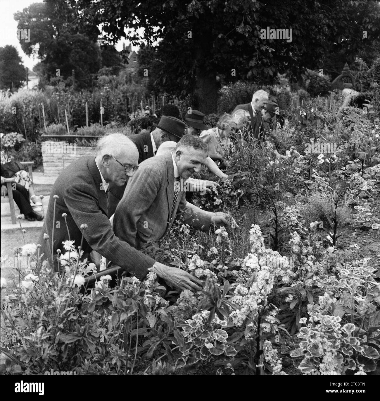 Garden for the blind in Bromley, Kent (now Greater London). 29th July 1952. Stock Photo