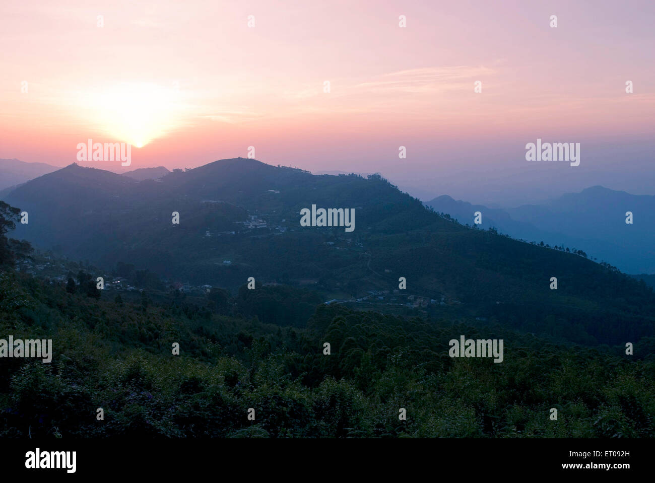 Sun rise on Palani hills at 2133 meters above sea level ; Kodaikanal popularly known as Kodai ; Tamil Nadu ; India Stock Photo