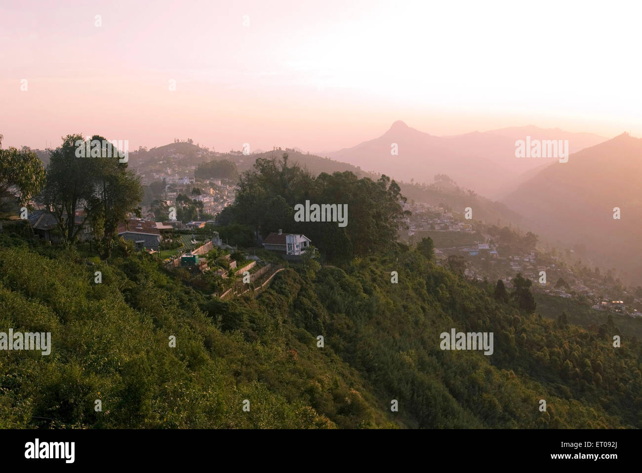 Sun rise on Palani hills at 2133 meters above sea level ; Kodaikanal popularly known as Kodai ; Tamil Nadu ; India Stock Photo