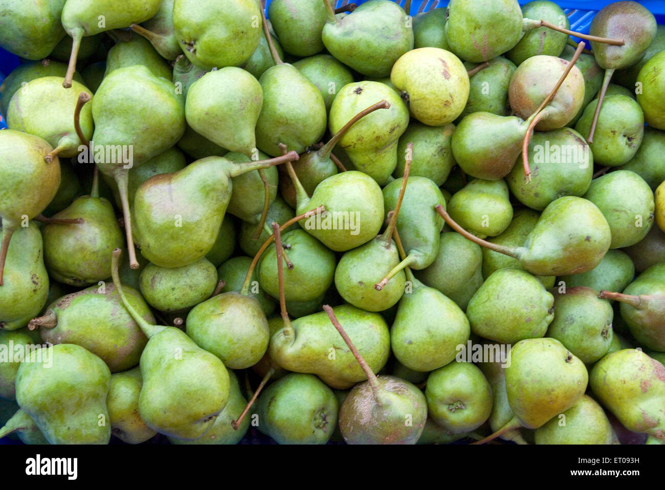 Fruits ; Pears ; Kodaikanal popularly known as Kodai ; Tamil Nadu Stock
