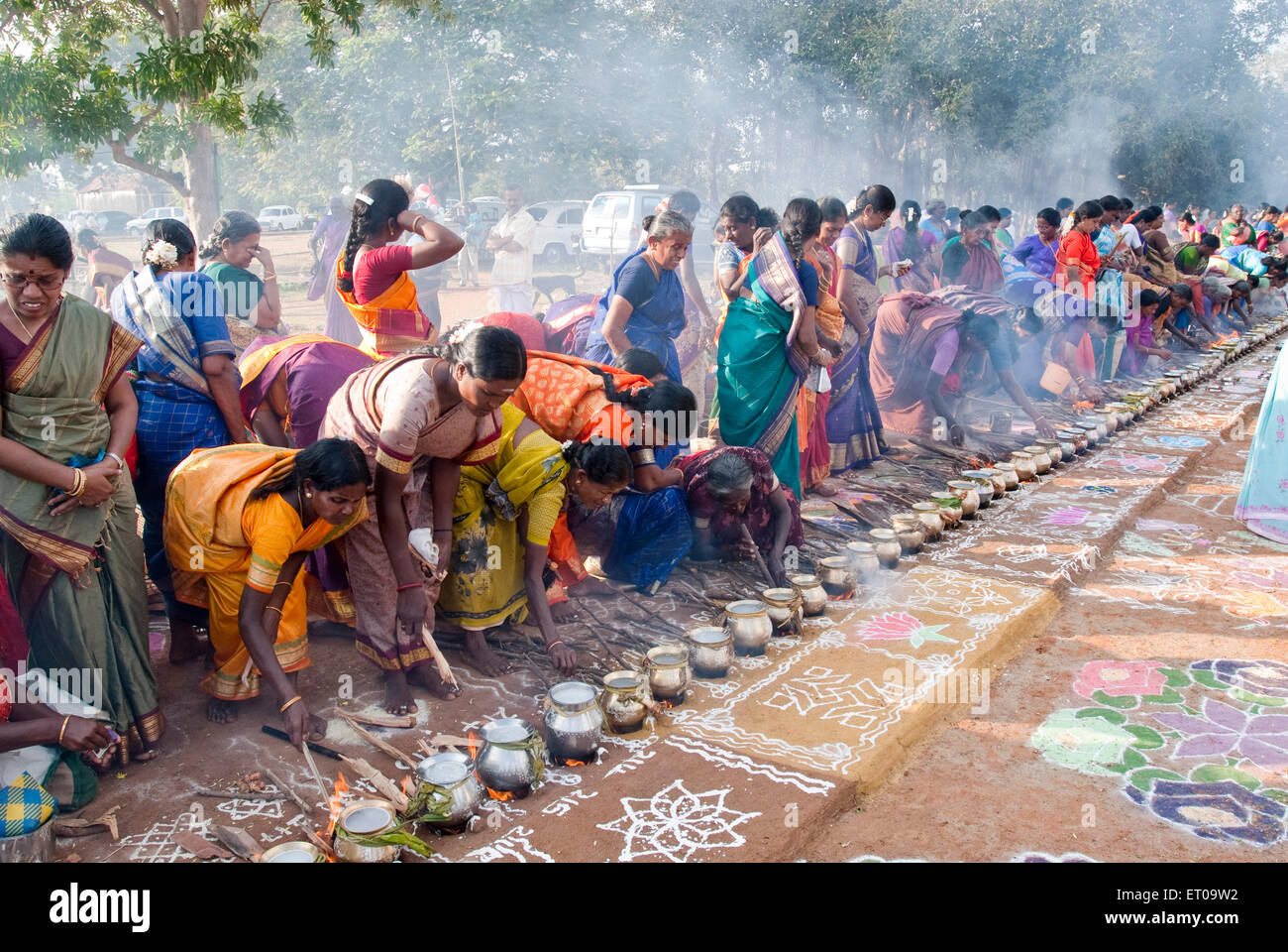 Pongal festival hi-res stock photography and images - Alamy