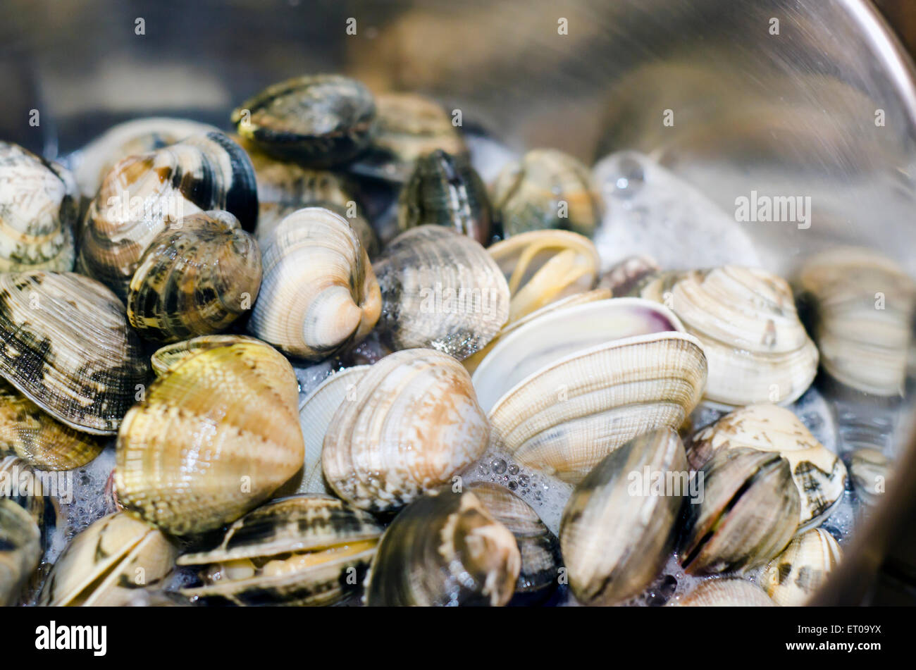clams from the pan while cooking Stock Photo Alamy
