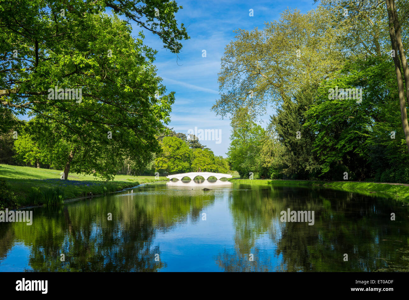 A lake and small bridge in a Surrey park Stock Photo Alamy