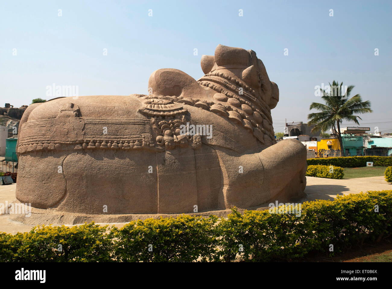 Biggest monolithic nandi sculpture in Lepakshi ; Andhra Pradesh ; India Stock Photo