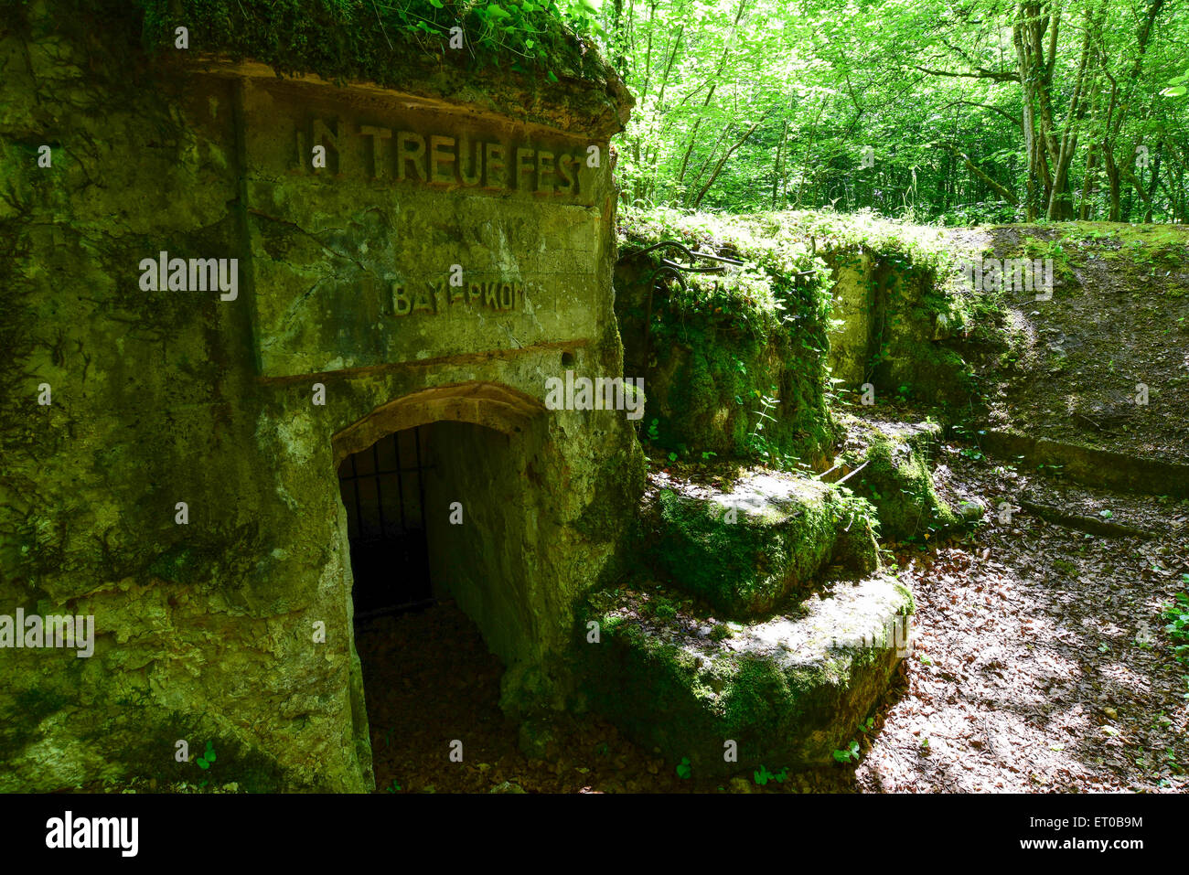 Original German trenches and dugouts from the First World war in the St. Mihiel Salient, France Stock Photo