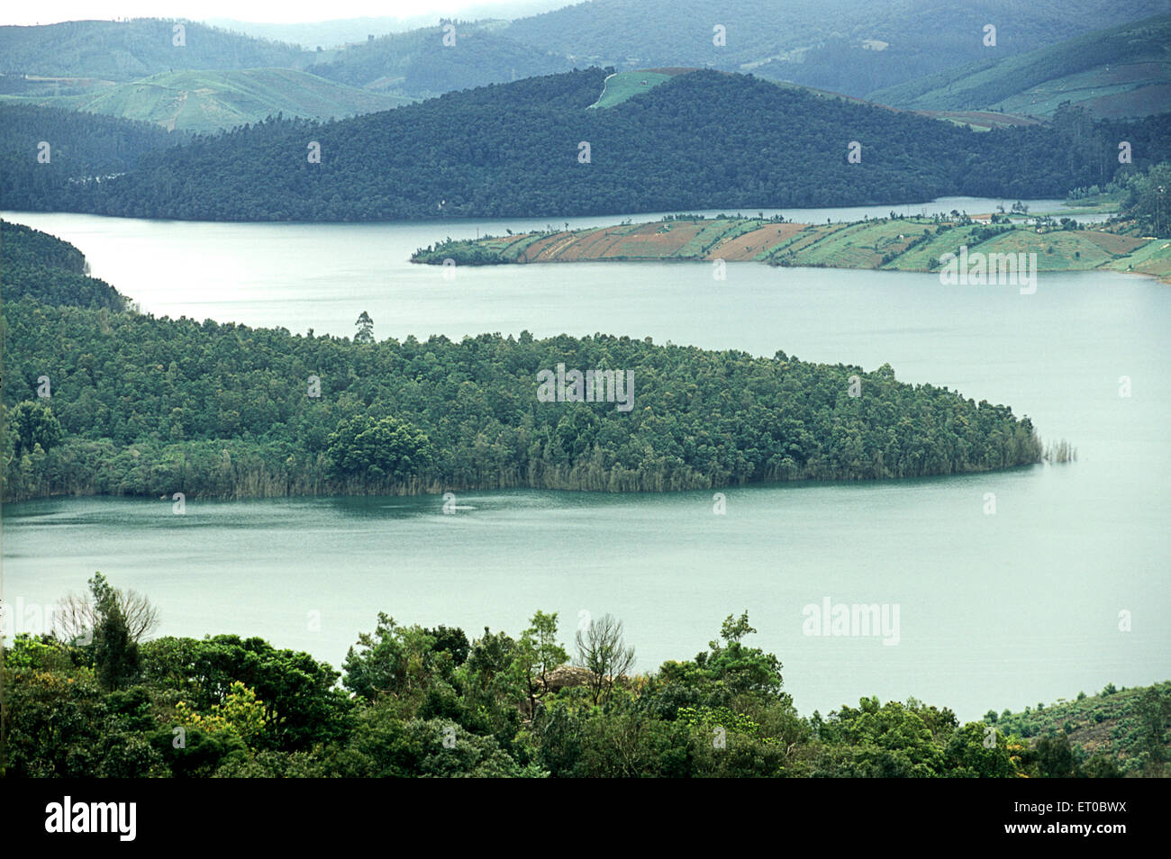 Emerald lake, Ooty, hill station, Ootacamund, Udagamandalam, Udhagamandalam, Nilgiri hill, silent valley, Western Ghat, Tamil Nadu, India, Asia Stock Photo